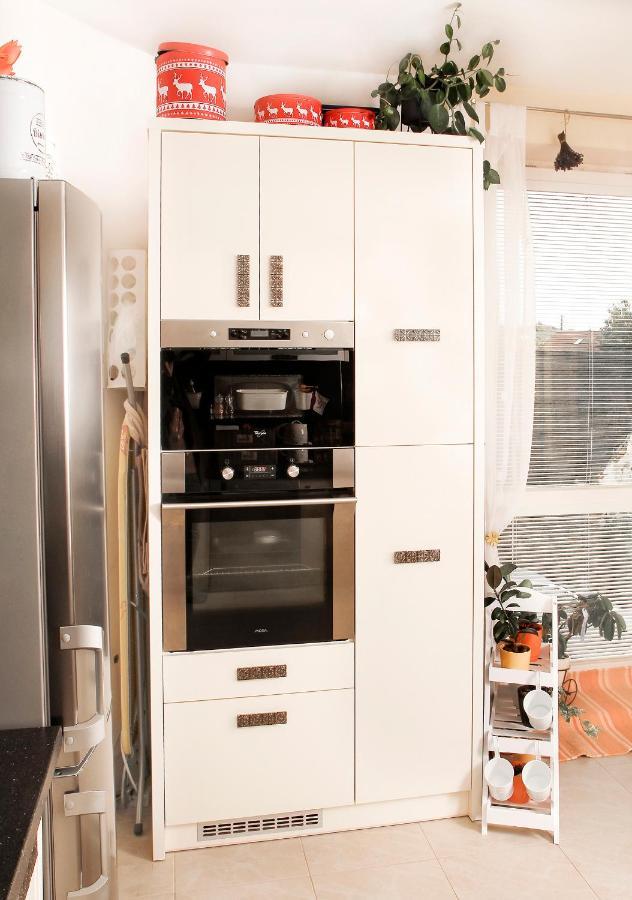 2-Izbovy Apartman Mlynica S Balkonom Екстер'єр фото